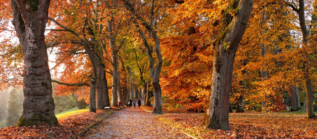 Reducing Commercial Energy Costs